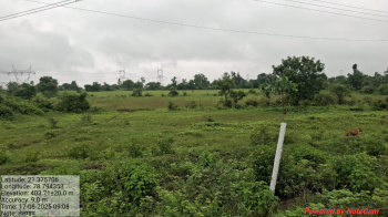 Agricultural/Farm Land for Sale in Katol, Nagpur (10 Acre)