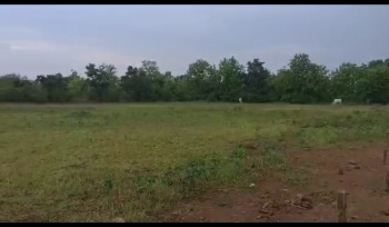 Agricultural/Farm Land for Sale in Amravati Road, Nagpur (22 Ares)