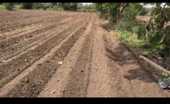 Property for sale in Amravati Road, Nagpur