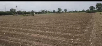 Agricultural/Farm Land for Sale in Kalameshwar, Nagpur (10 Ares)