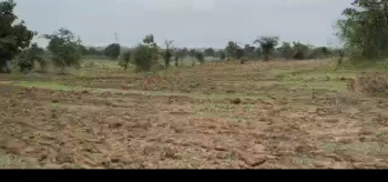 Agricultural/Farm Land for Sale in Umred, Nagpur (3.5 Acre)
