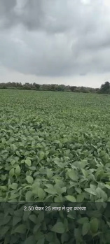 Agricultural/Farm Land for Sale in Siddharth Nagar, Mumbai (54 Acre)