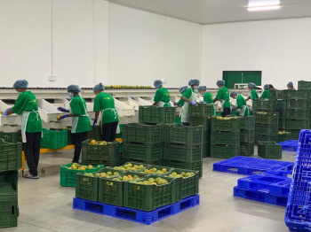 Property for sale in Katol, Nagpur