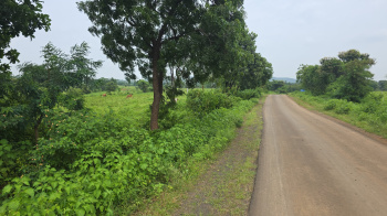Agricultural/Farm Land for Sale in Narkhed, Nagpur (500 Acre)