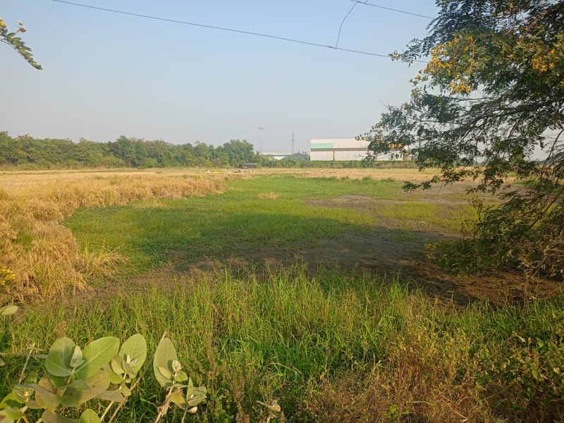 Industrial Land / Plot for Sale in Bhandara Road, Nagpur (3.5 Acre)