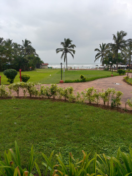 Agricultural/Farm Land for Sale in Mihan, Nagpur (1.5 Acre)