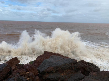 Agricultural/Farm Land for Sale in Gavade Ambere, Ratnagiri (135 Acre)