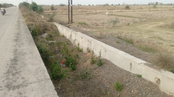 Agricultural/Farm Land for Sale in Umred, Nagpur (260 Acre)