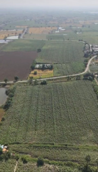 Agricultural/Farm Land for Sale in Tadoba, Chandrapur (8 Acre)