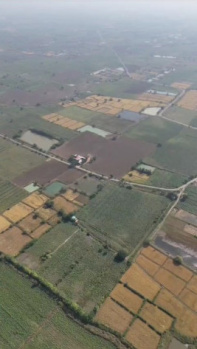 Agricultural/Farm Land for Sale in Tadoba, Chandrapur (25 Acre)