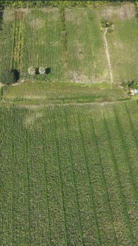 Property for sale in Tadoba, Chandrapur