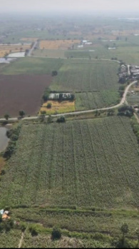 Agricultural/Farm Land for Sale in Tadoba, Chandrapur (100 Acre)