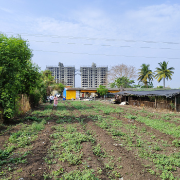 11000 Sq.ft. Agricultural/Farm Land for Sale in Loni Kalbhor, Pune