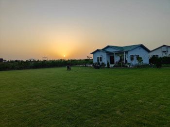 1250 Sq. Yards Agricultural/Farm Land for Sale in Sector 156, Noida