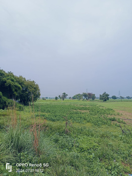 35 Bigha Agricultural/Farm Land for Sale in Neemrana, Alwar