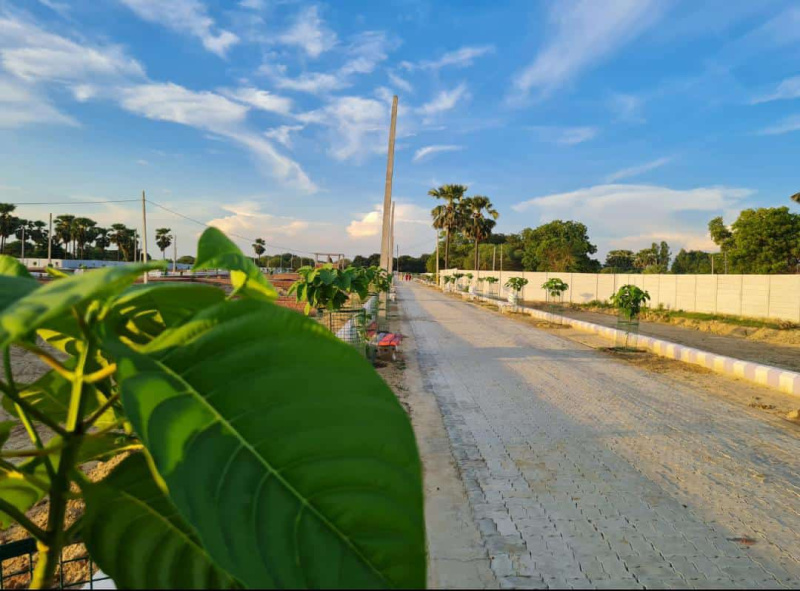 1000 Sq.ft. Residential Plot For Sale In Banthara, Lucknow