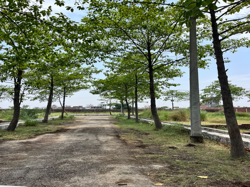 Residential Plot For Sale In Sarojini Nagar, Lucknow (1000 Sq.ft.)