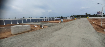 1300 Sq.ft. Residential Plot For Sale In Sethurapatti, Tiruchirappalli