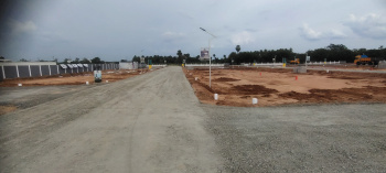 1150 Sq.ft. Residential Plot for Sale in Panjapur, Tiruchirappalli