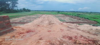 1500 Sq.ft. Residential Plot for Sale in Hanspal, Bhubaneswar