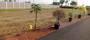 Property for sale in Minjur, Chennai