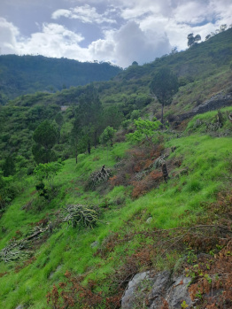 Property for sale in Kanatal, Tehri Garhwal