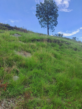 Property for sale in Dhanaulti, Tehri Garhwal