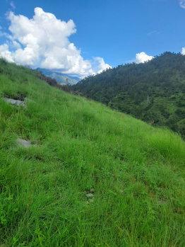1323 Sq.ft. Residential Plot for Sale in Tehri, Tehri Garhwal