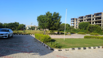 100 Sq. Yards Residential Plot For Sale In Thikariya, Jaipur