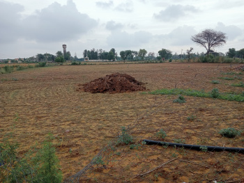 2 Acre Agricultural/Farm Land for Sale in Taoru, Gurgaon