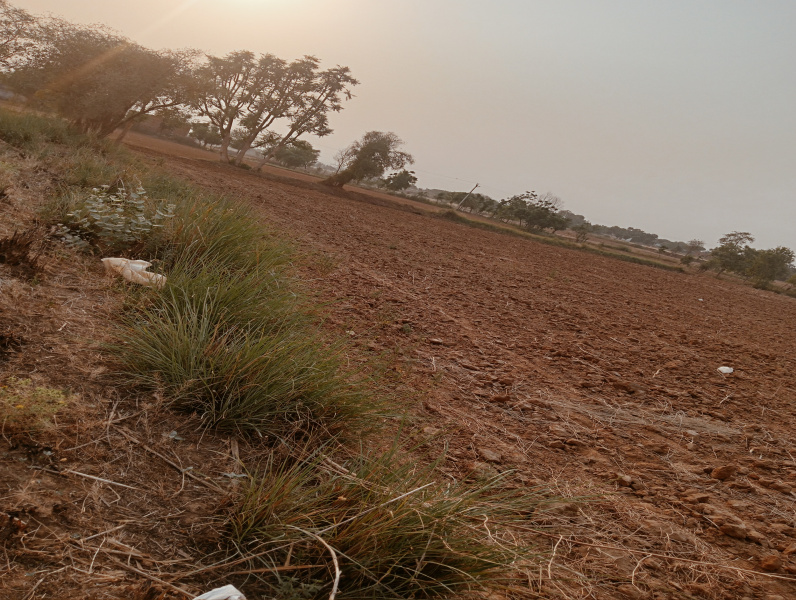 4 Acre Agricultural/Farm Land for Sale in Taoru, Gurgaon