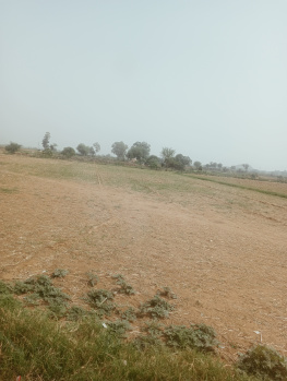 4 Acre Agricultural/Farm Land for Sale in Taoru, Gurgaon