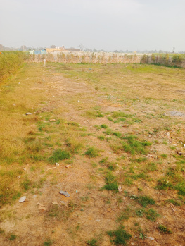 Farm House for Sale in Basai Road, Gurgaon (1 Acre)