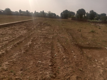 Agricultural/Farm Land for Sale in Sohna, Gurgaon (2 Acre)