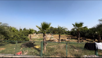 1 RK Farm House for Rent in Manesar, Gurgaon (2 Acre)