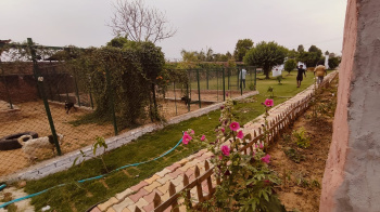 Farm House for Sale in Bhondsi, Gurgaon (2420 Sq.ft.)
