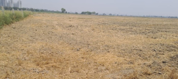 1 BHK Farm House for Sale in Manesar, Gurgaon (2 Acre)