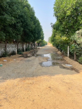 1 RK Farm House for Sale in Manesar, Gurgaon (50 Acre)