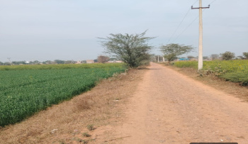 Agricultural/Farm Land for Sale in Sohna, Gurgaon (9 Acre)
