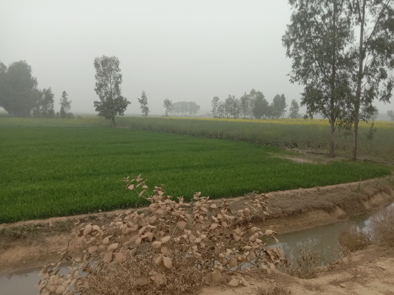 Industrial Land / Plot For Sale In Bilgram, Hardoi (45 Bigha)