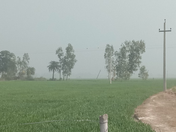 Property for sale in Sandi, Hardoi