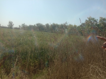 Property for sale in Pihani, Hardoi