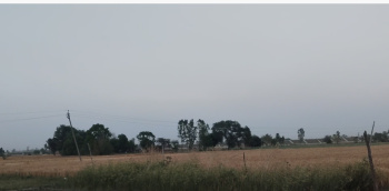 11 Acre Agricultural/Farm Land for Sale in Saiyapurwa, Hardoi