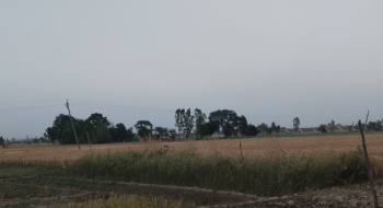 Property for sale in Saiyapurwa, Hardoi