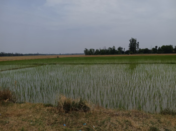 Property for sale in Harpalpur, Hardoi