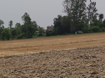 Property for sale in Harpalpur, Hardoi