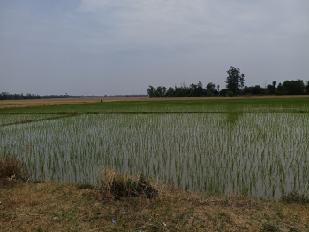 Property for sale in Harpalpur, Hardoi
