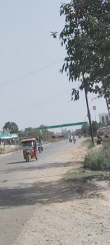 12 Bigha Agricultural/Farm Land for Sale in Pali, Hardoi