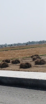 Property for sale in Pali, Hardoi