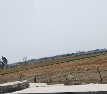 Property for sale in Pali, Hardoi